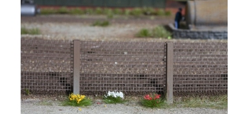 noch 07135 Touffes d'herbes en fleurs